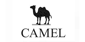 广东骆驼服饰有限公司成立于2005年，主要负责“骆驼”品牌发展、骆驼产品生产研发、线下实体店销售等综合业务。Camel品牌包括男鞋、户外、女鞋、男装、运动、瑜伽健身、女装、童装以及皮具箱包等，提供人们生活中的必需品，创造更加健康舒适的使用体验。